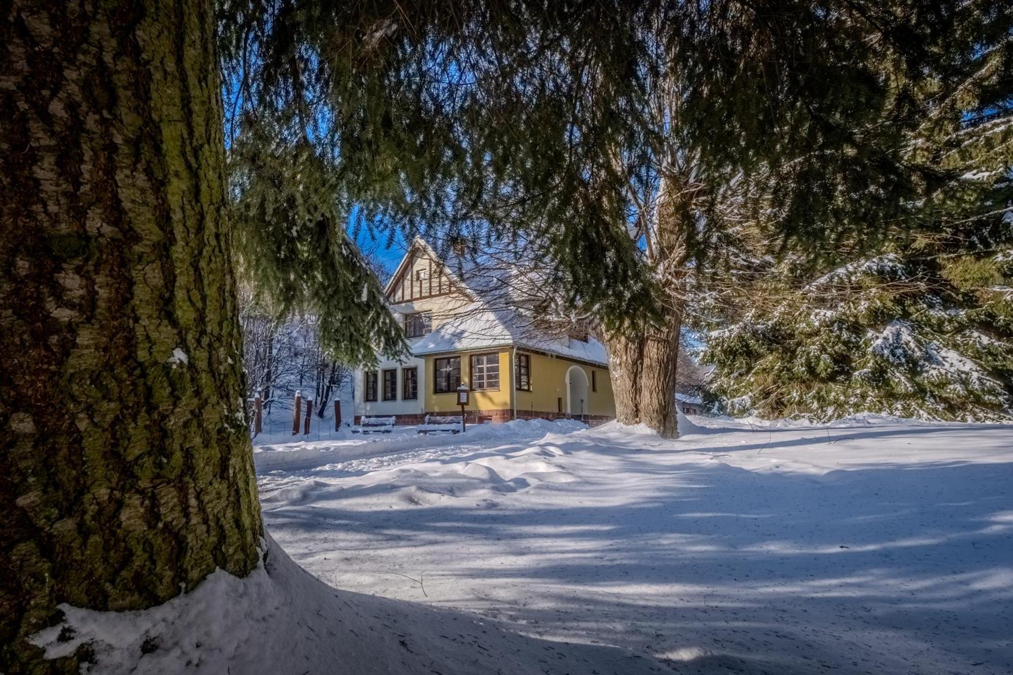 Villa With A Covered Pool, Park, And Playground Svoboda nad Úpou